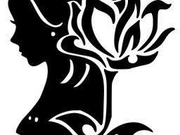 Birds, Animals and Nature